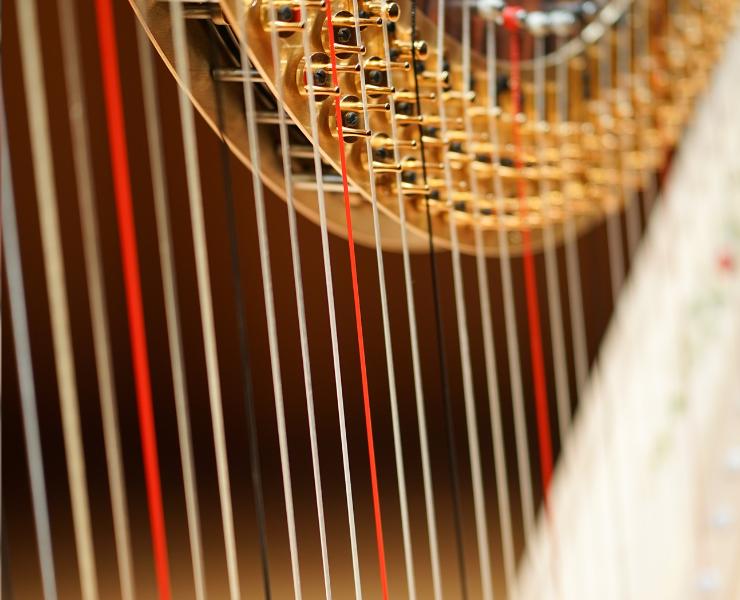 Gut Harp Strings