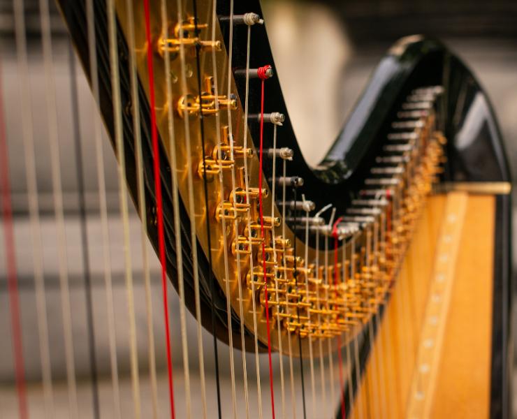Wire Harp Strings