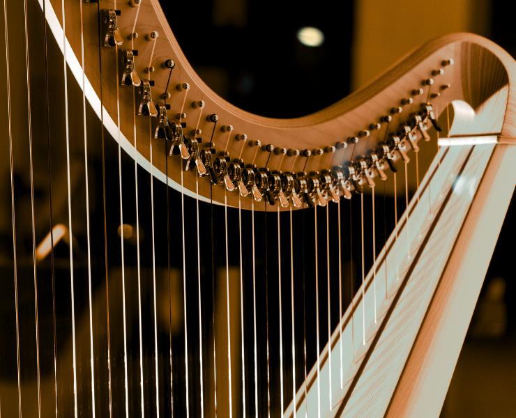 Nylon Harp Strings For Sale | Remenyi House Of Music – Remenyi House of ...