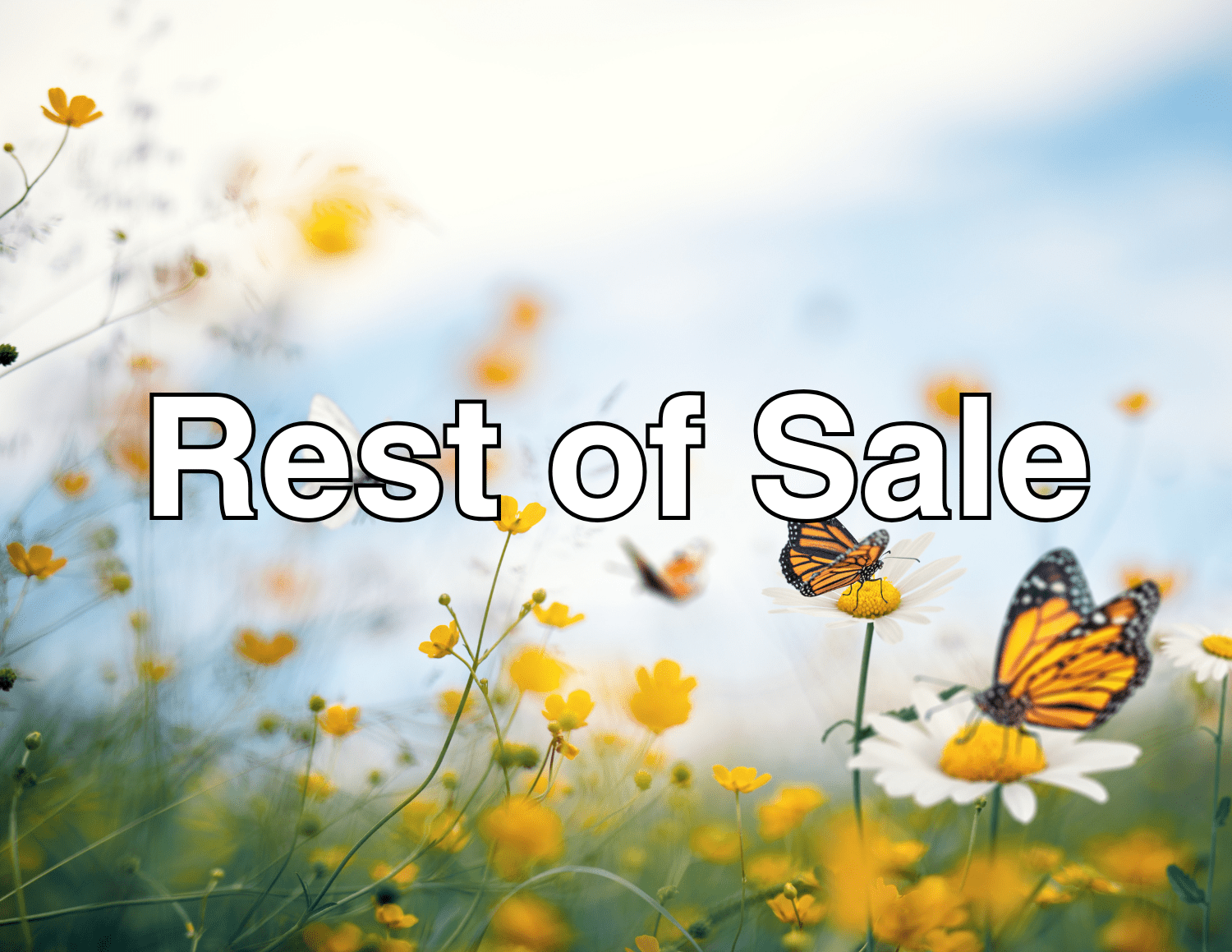 Rest of Sale - Remenyi House of Music