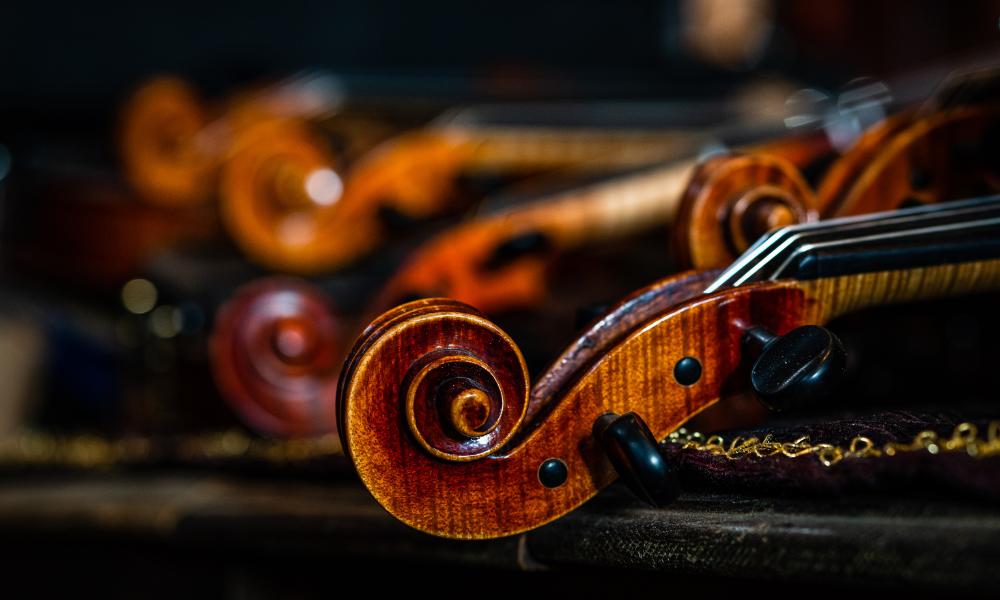 Violins Up To $1000 - Remenyi House of Music