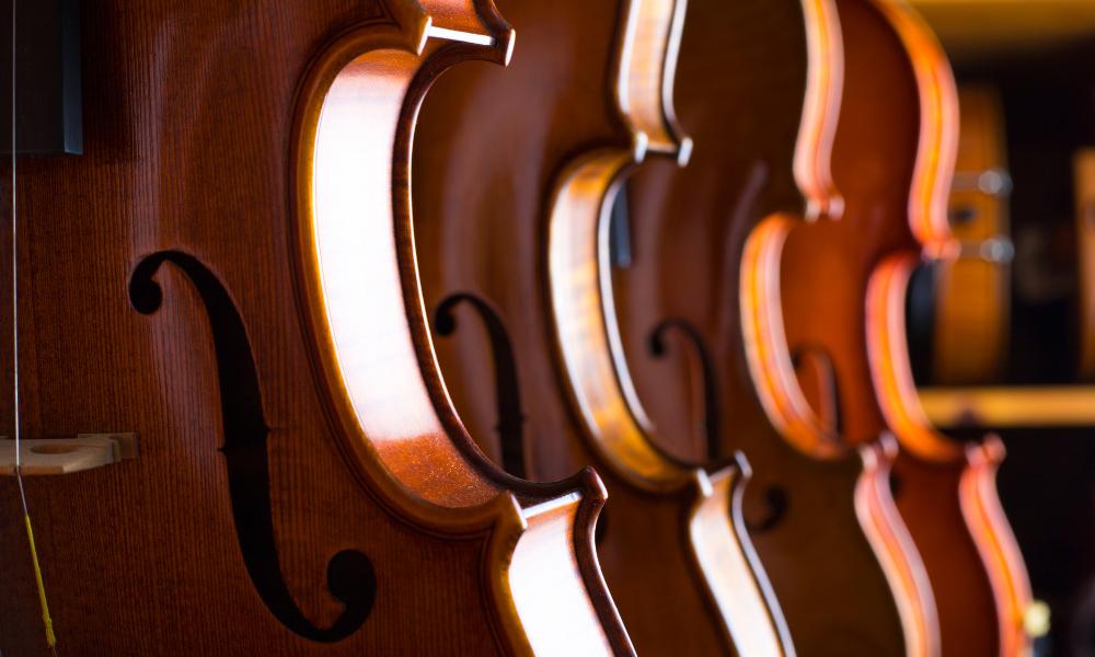 Violins Up To $500 - Remenyi House of Music