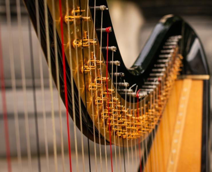 Wire Harp Strings - Remenyi House of Music