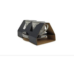 4 Piece Espresso Set - "Cantate" Vivaldi Design - Remenyi House of Music