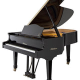 Bluthner Grand Model 6 - 190 E/P Acoustic Grand Piano - Remenyi House of Music