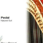 Bow Brand Natural Gut Harp String 3rd Octave C - Remenyi House of Music