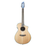 Breedlove Discovery S Concert Nylon CE Acoustic - Electric Guitar - Remenyi House of Music