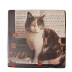 Coaster - Kitten On Piano - Remenyi House of Music