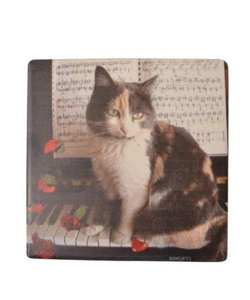 Coaster - Kitten On Piano - Remenyi House of Music