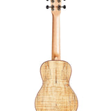 Cordoba 24C Concert Ukulele - Remenyi House of Music