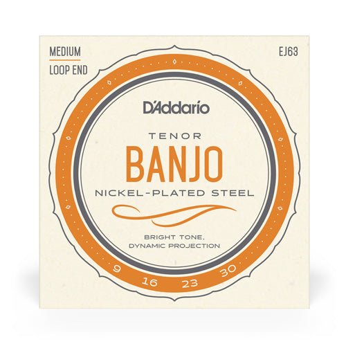 D'Addario EJ63 Tenor Banjo Set, Nickel, 9 - 30 - Remenyi House of Music