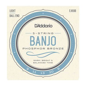 D'Addario EJ69B - Phosphor Bronze 5 - String Ball End Banjo, Light, 9 - 20 - Remenyi House of Music