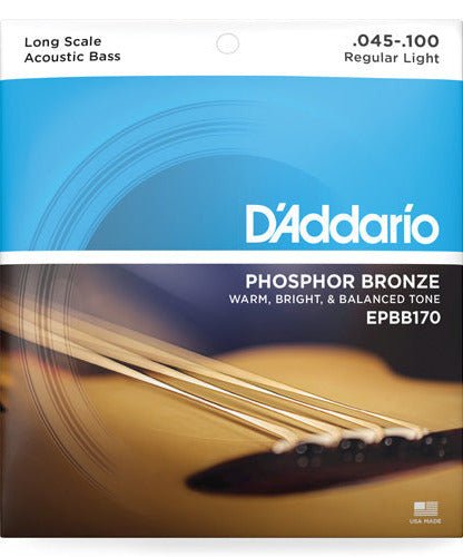 D'Addario EPBB170 - 5 Phosphor Bronze 5 - String Acoustic Bass, Long Scale, 45 - 130 - Remenyi House of Music