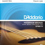 D'Addario EPBB170 - 5 Phosphor Bronze 5 - String Acoustic Bass, Long Scale, 45 - 130 - Remenyi House of Music