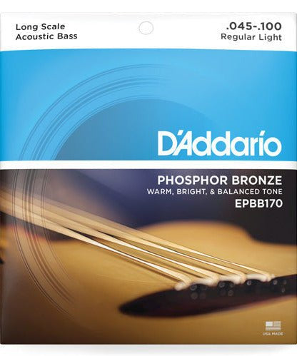 D'Addario EPBB170 - 5 Phosphor Bronze 5 - String Acoustic Bass, Long Scale, 45 - 130 - Remenyi House of Music