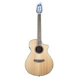 Breedlove Discovery S Concert Nylon CE Acoustic-Electric Guitar