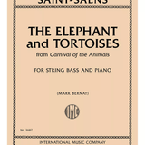 Elephants and Tortoises - Remenyi House of Music