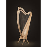 Lyon & Healy Ogden Harp