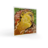 Evah Pirazzi Neo String - Set - Remenyi House of Music