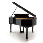 Fazioli 156 Baby Grand Acoustic Piano - Remenyi House of Music