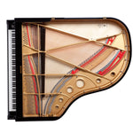 Fazioli 183 Grand Acoustic Piano - Remenyi House of Music