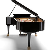 Fazioli 308 Concert Grand Acoustic Piano - Remenyi House of Music