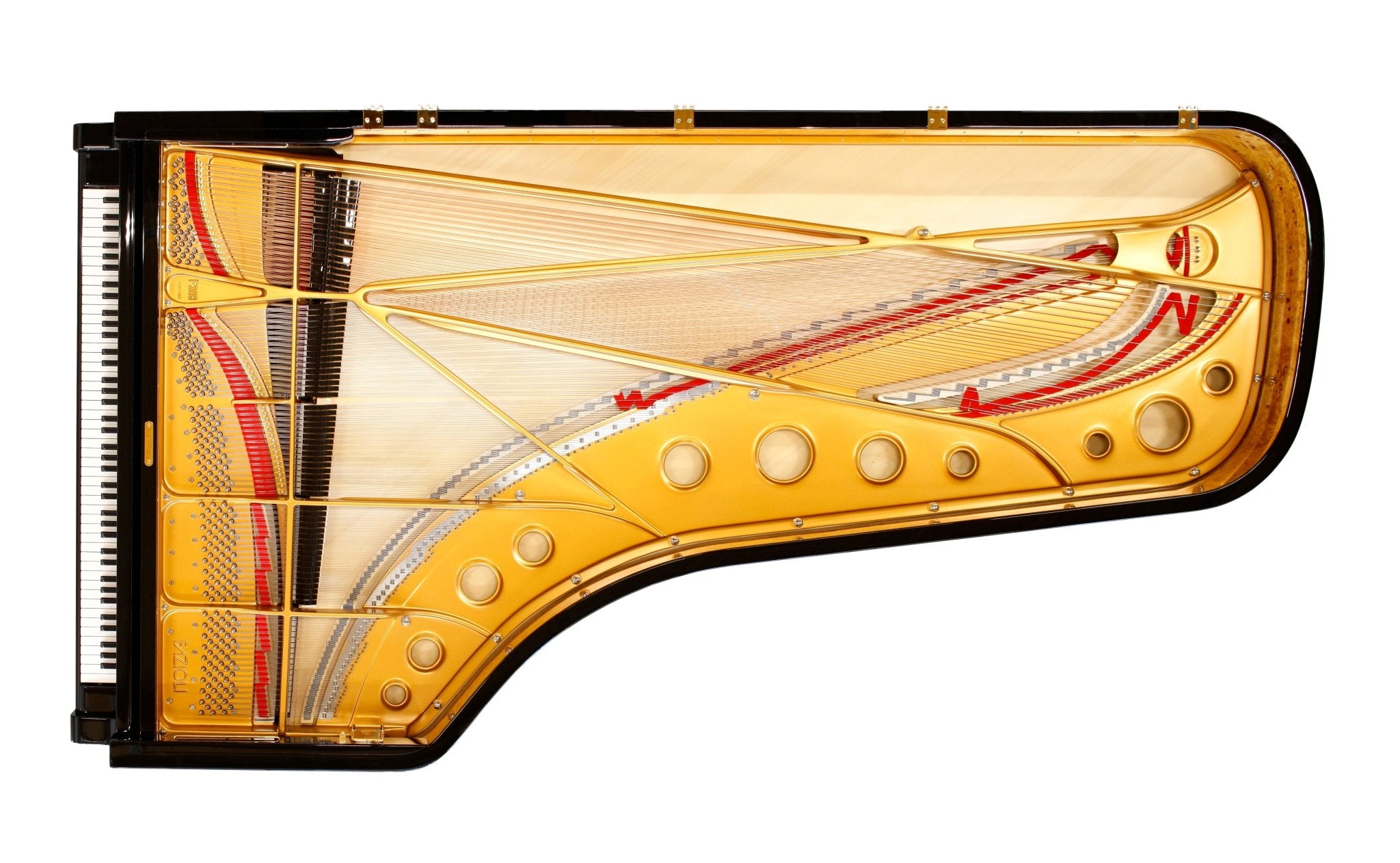 Fazioli 308 Concert Grand Acoustic Piano - Remenyi House of Music