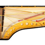 Fazioli 308 Concert Grand Acoustic Piano - Remenyi House of Music