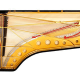 Fazioli 308 Concert Grand Acoustic Piano - Remenyi House of Music