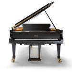 Fazioli 308 Concert Grand Acoustic Piano - Remenyi House of Music