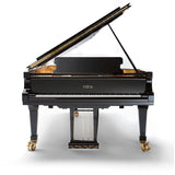 Fazioli 308 Concert Grand Acoustic Piano - Remenyi House of Music