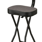 Fender 351 Seat/Stand Combo - Remenyi House of Music