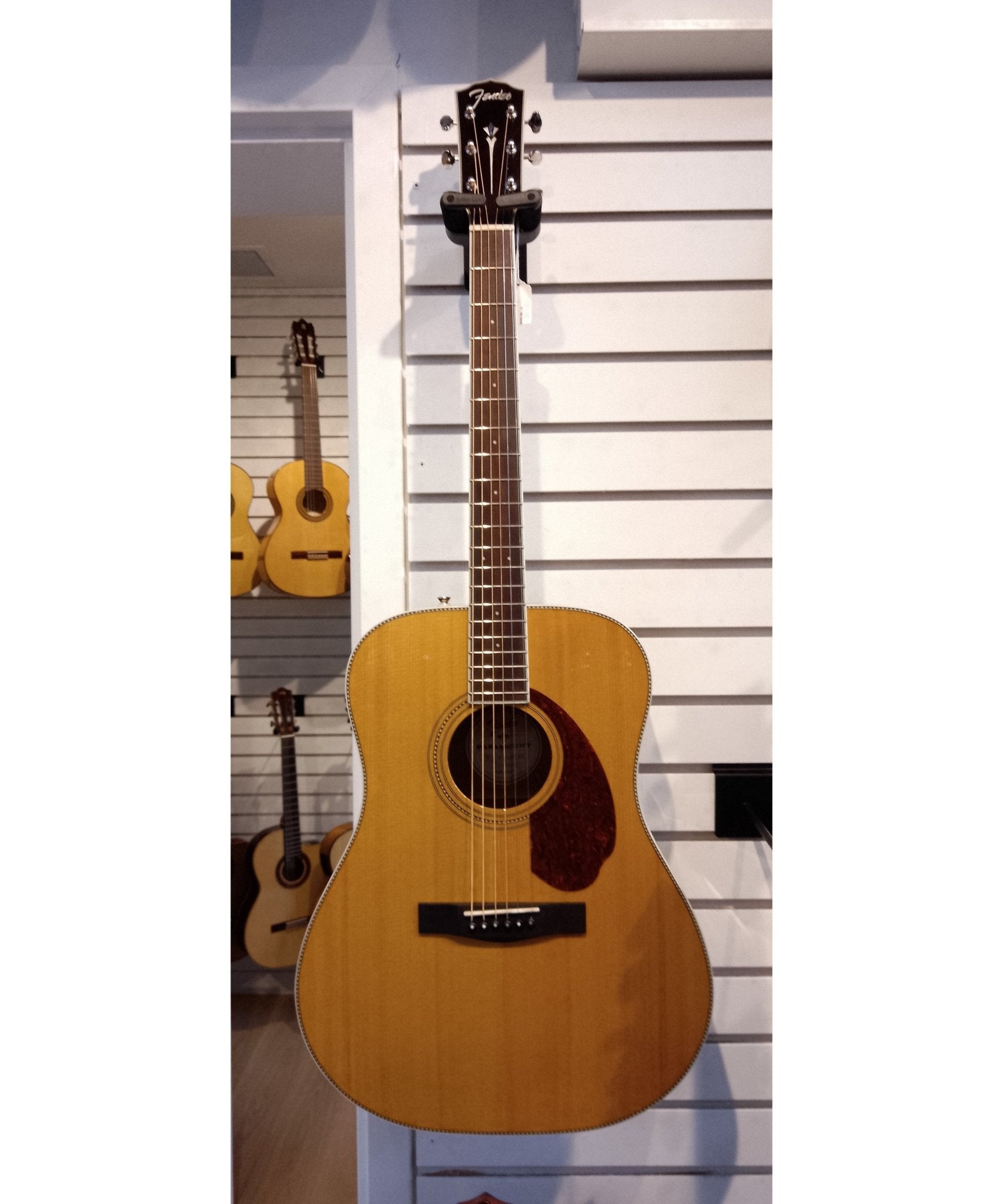 Fender Acoustic PM - 1 Standard Dreadnought Natural - Remenyi House of Music