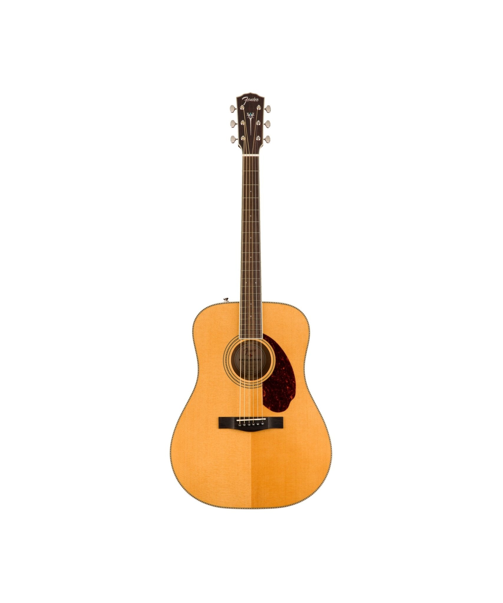 Fender Acoustic PM - 1 Standard Dreadnought Natural - Remenyi House of Music