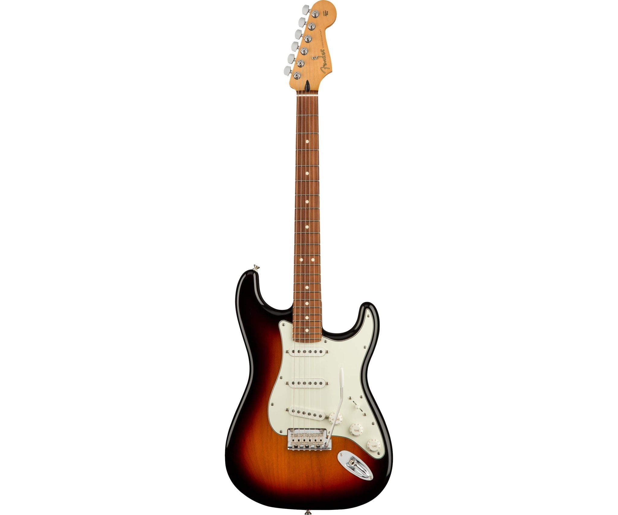 Fender Player Stratocaster Electric Guitar - Remenyi House of Music