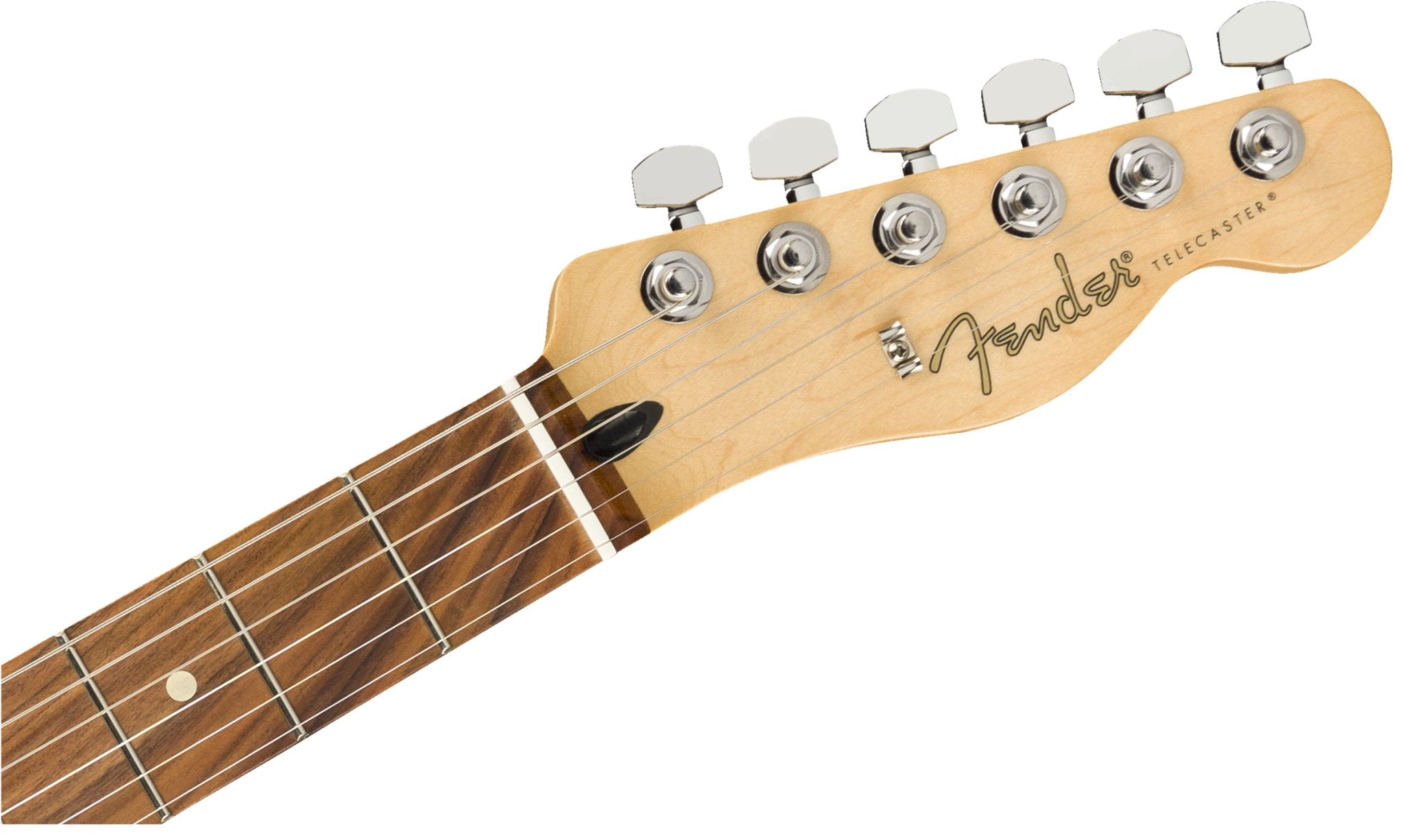 Fender Player Telecaster Electric Guitar - Remenyi House of Music