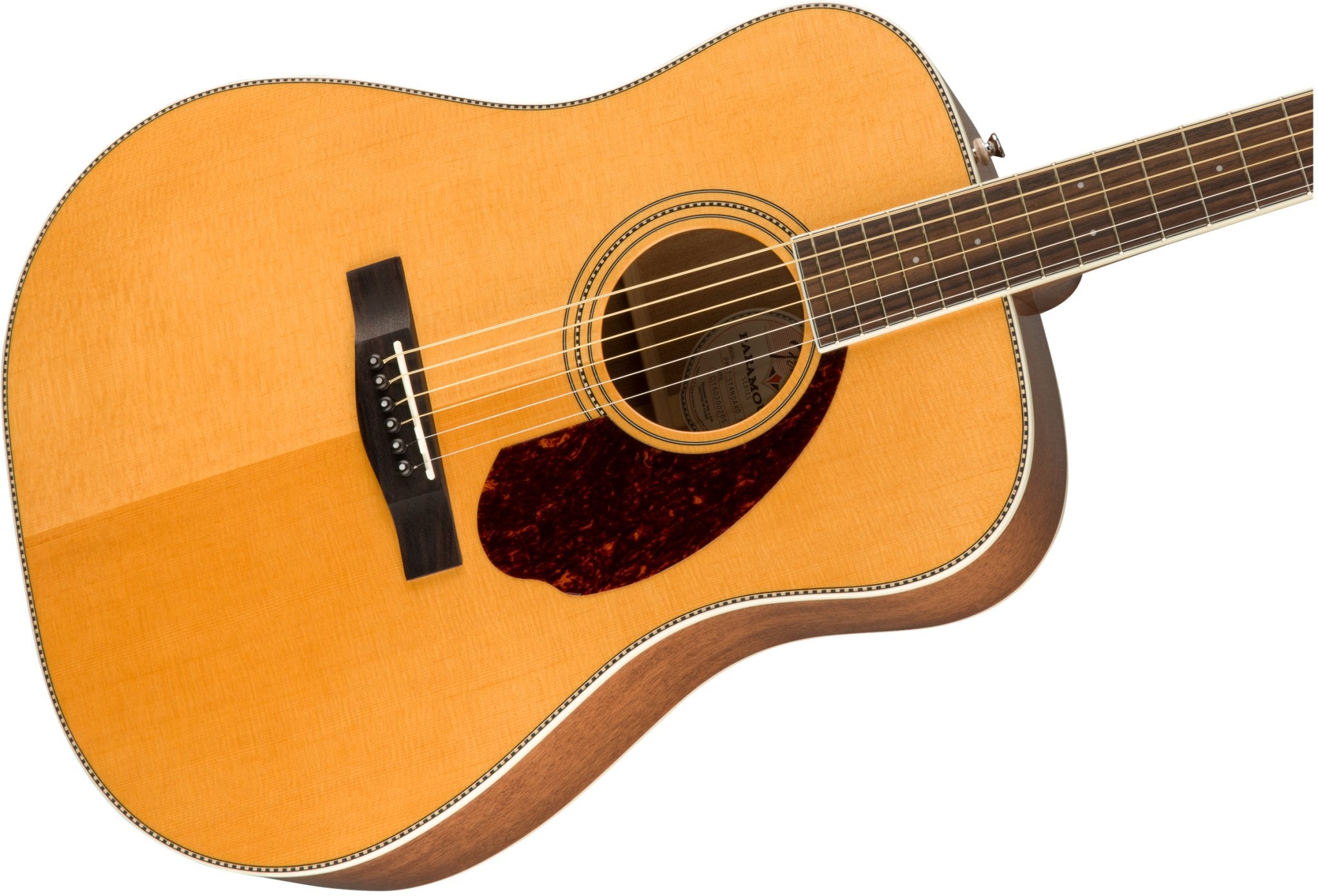 Fender PM - 1E Standard Dreadnought Guitar, Ovangkol Fingerboard, Natural w/case - Remenyi House of Music