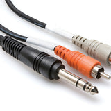 Hosa Technology 9.9  (3M) Stereo 1/4  Male to Two RCA Male Y-Cable