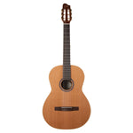 Godin Collection QIT EQ Acoustic - Electric Classical Guitar - Remenyi House of Music