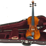 Amati Violin Outfit - All Sizes