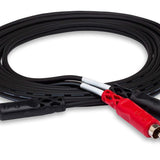 Hosa CMR20 Stereo 1/8 Stereo to Dual RCA Audio Cable (3 Ft) - Remenyi House of Music