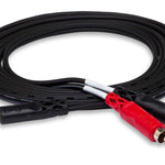 Hosa CMR20 Stereo 1/8 Stereo to Dual RCA Audio Cable (3 Ft) - Remenyi House of Music