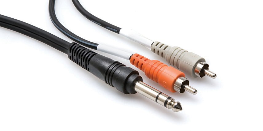 Hosa Technology 9.9 (3M) Stereo 1/4 Male to Two RCA Male Y - Cable - Remenyi House of Music