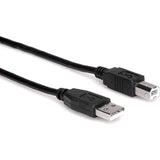 Hosa USB - 203AB 3 - Feet USB 2.0 Cable - Remenyi House of Music