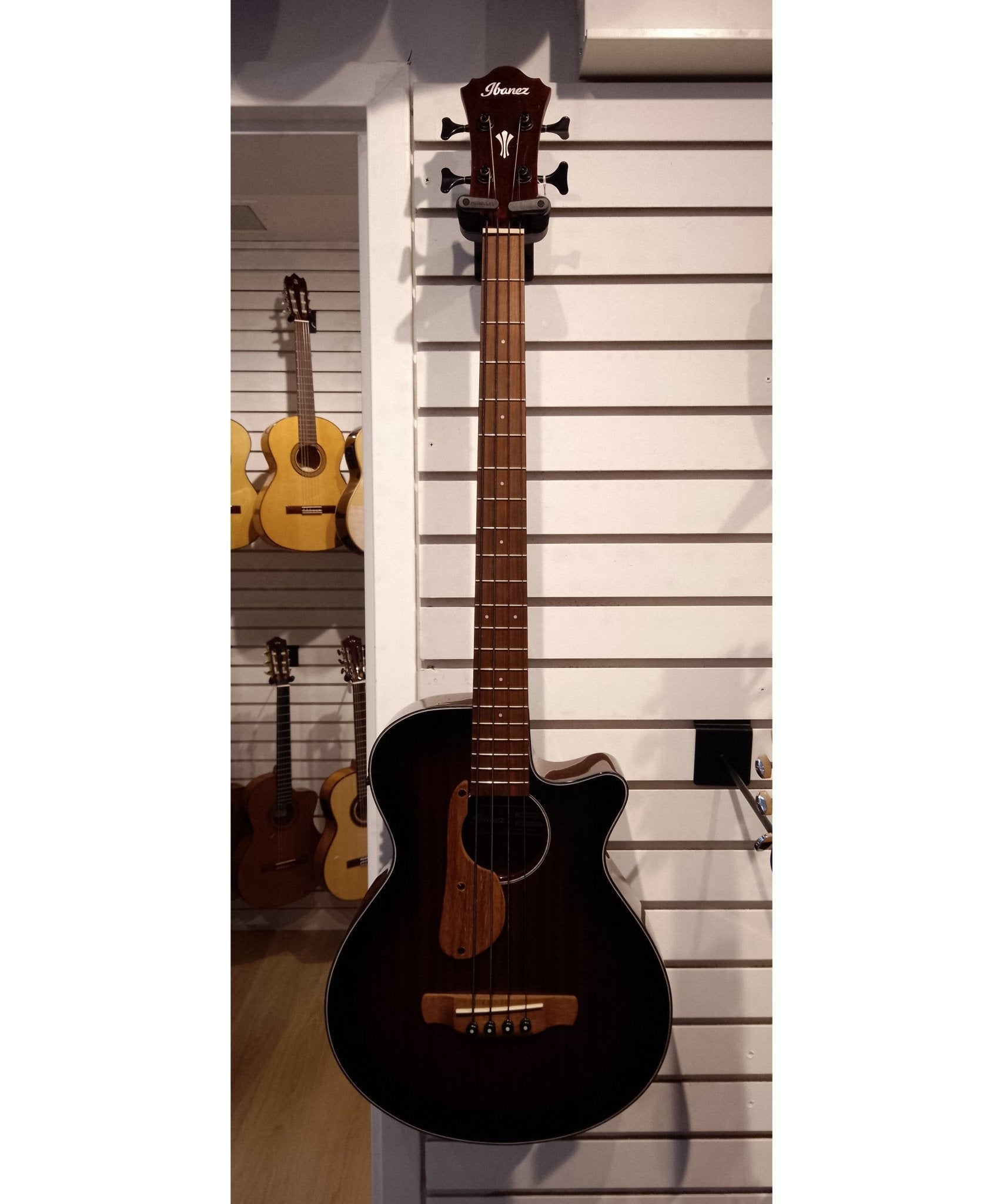 Ibanez AEGB24E Acoustic/Electric Bass - Mahogany SB Gloss - Remenyi House of Music