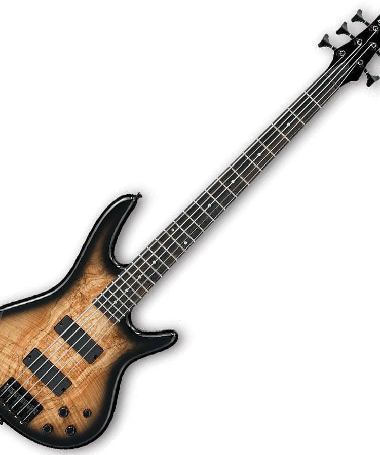 Ibanez GSR205SM - NGT Gio Series 5 String Bass in Natural Gray Burst Finish - Remenyi House of Music