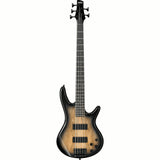 Ibanez GSR205SM - NGT Gio Series 5 String Bass in Natural Gray Burst Finish - Remenyi House of Music