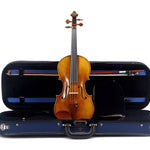 Joseph Mirth 900 Violin Outfit - Remenyi House of Music