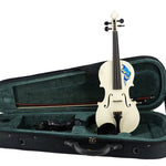 Kato 500 Hand - painted Butterfly Violin Outfit - Remenyi House of Music