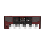 Korg PA1000 61 Key Arranger Keyboard - Remenyi House of Music